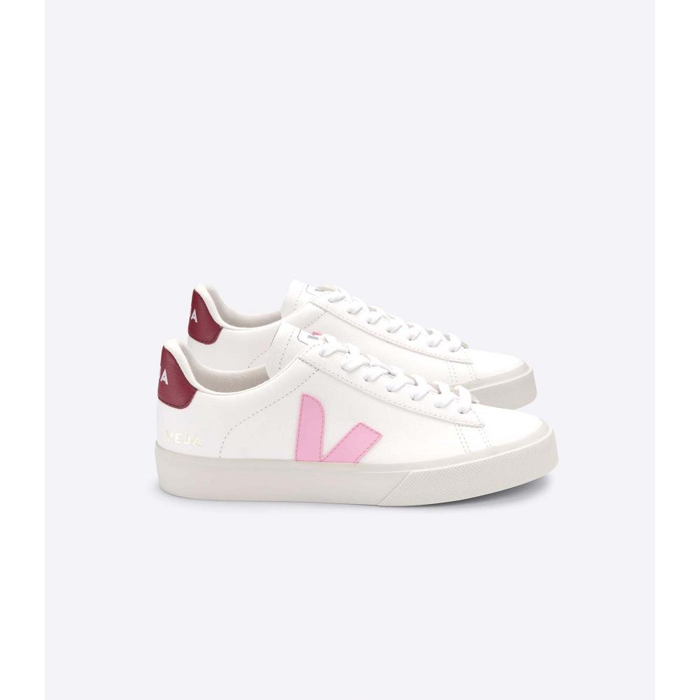 Veja CAMPO CHROMEFREE Men\'s Low Tops Sneakers White/Pink | NZ 293YXF